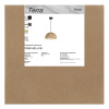 Подвесной светильник Freya Terra FR5514PL-01B