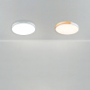 Потолочный светильник Freya Sprida FR6129CL-L80GR