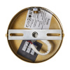 Настенный светильник Freya Cosmic FR5457WL-01G