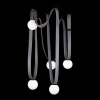 Подвесная люстра Loft IT Picot 10240/5