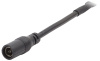 Светодиодная лента Эра LS5050-14,4-60-12-6500K-IP20-1 year 5m C0043045