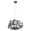 Подвесной светильник Loft IT Clizia 10231/530 Black