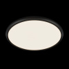 Потолочный светильник  LOFT IT Sweety 10454/500 Black