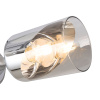 Потолочная люстра Freya Dual FR5226PL-06W