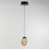 Подвесной светильник Delight Collection MD25090022-1A matt black/champagne
