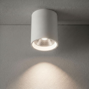 Потолочный светильник с переключателем цв. температуры Crystal Lux CLT 075C WH
