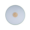 Потолочный светильник Loft IT AXEL 10003/24 Green