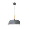 Подвесной светильник Arte Lamp Kayla A7102SP-1GY