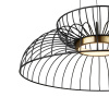 Подвесной светильник Freya Citrus FR5398PL-L6B