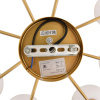 Люстра на штанге Lumion Moderni Larina 8323/8C