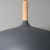 Подвесной светильник Arte Lamp Kayla A7099SP-1GY