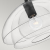 Подвесной светильник Hinkley Lotus QN-LOTUS-P-BLK