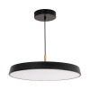 Подвесной светильник Arlight SP-ELEGANT-R500-37W Warm3000 (BK, 120 deg, 230V) 033922(1)