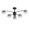 Люстра на штанге Lumion Comfi Natalina 8349/6C