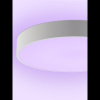 Потолочный светильник Natali Kovaltseva Modern LED LAMPS 81105/1C