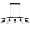 Подвесной светильник Lightstar Rullo LR7353738621 (571735+214437-3+214486-2+202431-5)