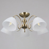 Потолочная люстра Illumico IL0897-5CSQ-26 AB ELITE