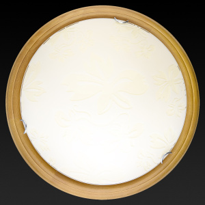 Настенно-потолочный светодиодный светильник Toplight Jane TL9640Y-00OA
