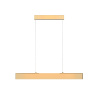 Подвесной светильник Maytoni Step P010PL-L23G3K