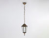 Уличный подвесной светильник Ambrella Light Garden ST2031