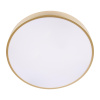 Потолочный светильник Loft IT Flims 10228/A
