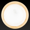 Настенный светильник Toplight Irma TL9073Y-02PN