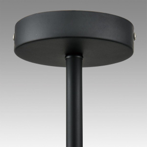 Потолочная люстра Lumion Comfi Camilie 8060/6C