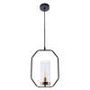 Подвесной светильник Arte Lamp Celaeno A7004SP-1BK
