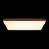 Потолочный светильник Loft IT Flims 10228/E
