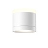 Потолочный светильник Maytoni Technical Pauline C120CL-GX53-W