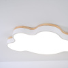 Потолочная люстра ImperiumLoft Cloud Eco 189502-26