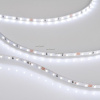 Светодиодная лента Arlight MICROLED-5000 24V Cool 8K 4mm (2216, 120 LED/m, LUX) 024409