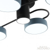 Потолочная люстра Arte Milano Ferrara 253039/4+1 Bk/Gr
