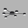 Потолочная люстра Lumion Comfi Torina 8344/6C