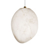 Подвесной светильник Loft IT Fionora 10531A