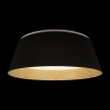 Потолочный светильник Loft IT Evans 10224 Black