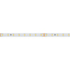Светодиодная лента Arlight RT-A80-8mm 24V Warm2700 (6 W/m, IP20, 2835, 50m) 024526(2)