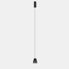 Подвесной светильник Delight Collection 184 P0184-75A black/gold