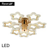 Потолочная люстра LED4U L8453-9