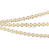 Светодиодная лента Arlight Rt-a168-10mm 2835 028737(2)