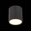 Потолочный светильник ST Luce Rene ST113.432.05