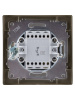 Выключатель одноклавишный Лама TDM Electric SQ1815-0701