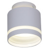 Накладной светильник Reluce 53001-9.5-001IL GX53+LED3W WT
