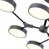 Потолочный светильник Evoluce Monta SLE6003-702-06
