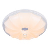 Потолочный светодиодный светильник Escada 10231/S LED