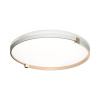 Настенно-потолочный светильник Sonex Pale Olidi White 7646/ELN