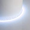Светодиодная лента 24V Feron LS506, 120*SMD2835, 11W/m, IP20, 6500К (белый холодный) 53059