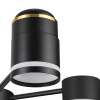 Люстра на штанге Lumion Virsava 8234/6C