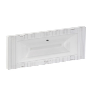 Аварийный светильник Schneider Electric OVA38356