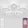 Потолочная люстра Natali Kovaltseva Led Light LED LAMPS 81167